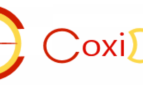 Coxidev Team avec Morgane & Rodrigue aux commandes (Entreprise spécialisée [expert Microsoft] dans les domaines de l'in…